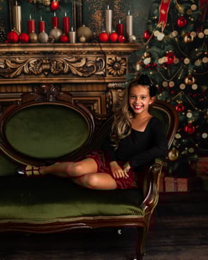 Image of Elegant Christmas Living Room - 11/1