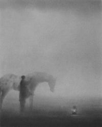 Image 1 of APPALOOSA