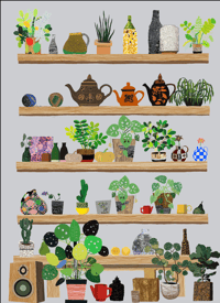Image 1 of SHELF LIFE LARGE