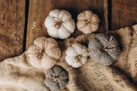 Image 3 of Pumpkins set 