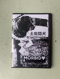 MORBID 🖤 - 土佐闘犬