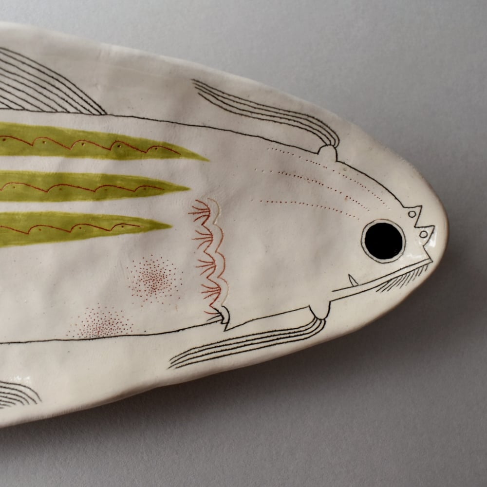 Image of Long Green Striped Fish Plate