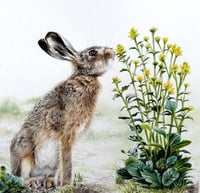 Image 1 of 'Just a Nibble' Limited Edition Mini Print