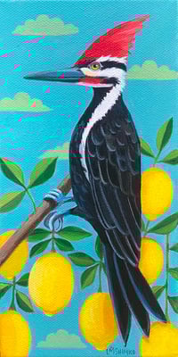 Image 1 of Pileated Woodpecker Lemons