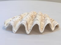 Image 6 of Vide-poche gros coquillage Tridacne "bénitier"  naturel des années 70 - Porte savon