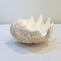 Image 7 of Vide-poche gros coquillage Tridacne "bénitier"  naturel des années 70 - Porte savon