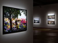 From the Poly serie untitled1#