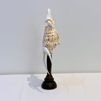 Image 5 of Coquillage Harpago Chiragra sur socle en bois tourné style fin XIXe