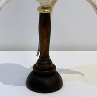 Image 10 of Coquillage Harpago Chiragra sur socle en bois tourné style fin XIXe