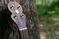 Image 5 of Walnut/Cherry Mountain Banjo