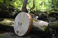 Image 4 of Tackhead Banjo w/ Mussel Shell Tailpiece