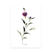 Image 1 of Enkele postkaart A6 Anjer