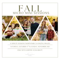 NORTH PARK FALL MICRO MINIS