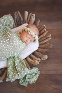 Image 2 of Newborn Session {deposit}