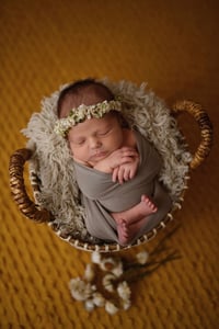 Image 1 of Newborn Session {deposit}