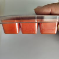 Image 2 of Melon Madness Wax Melt