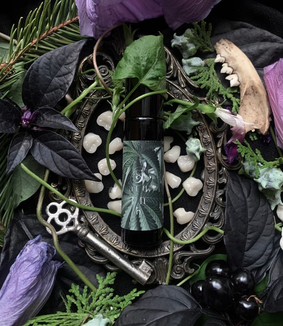 Image of Saturn Anointing Oil (Sage, Vetiver, Patchouli, Myrrh)