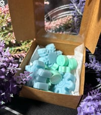 Image 2 of Wax melts estaciones
