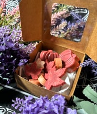 Image 4 of Wax melts estaciones