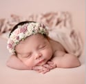 Sofia Flowers Crown 
