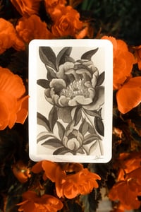 Image 1 of ORIGINAL FLOWER VERTICAL (SUNBEAM)