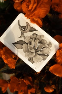 Image 2 of ORIGINAL FLOWER HORIZONTAL (SUNBEAM)