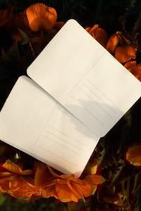 Image 4 of ORIGINAL FLOWER HORIZONTAL (SUNBEAM)