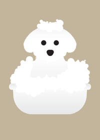 Image 4 of Bichon Collection