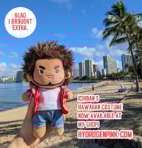 Image 4 of RGG Ichiban's Hawaii Outfit for 20 cm Doll