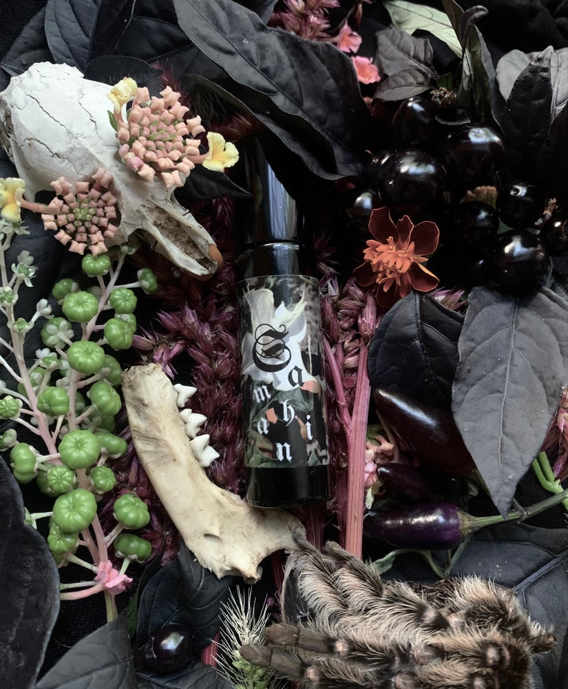 Image of Samhain Perfume (Absinthe, Cacao, Aged Patchouli)