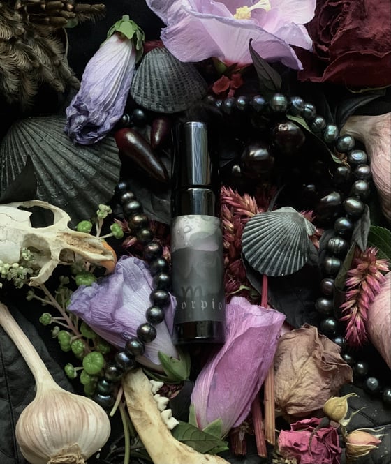 Image of Scorpio Perfume (Magnolia, Rose, Hemp, Damiana)