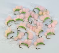 Pink Lady Sucker Spawn