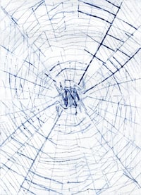 TWO SPIDERS IN LOVE