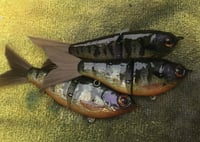 Image 13 of SPEEDBAITS Custom Airbrushed Glidebait 9120