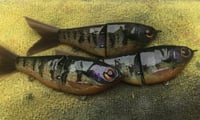 Image 14 of SPEEDBAITS Custom Airbrushed Glidebait 9120