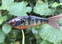 Image 6 of SPEEDBAITS Custom Airbrushed Glidebait 9120