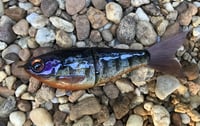 Image 7 of SPEEDBAITS Custom Airbrushed Glidebait 9120