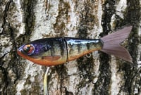 Image 9 of SPEEDBAITS Custom Airbrushed Glidebait 9120