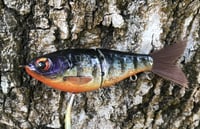 Image 12 of SPEEDBAITS Custom Airbrushed Glidebait 9120