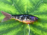 Image 3 of SPEEDBAITS Custom Airbrushed Glidebait 9120