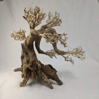 Image 3 of Bonsai Driftwood