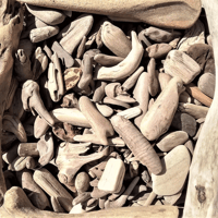 Image 1 of California Redwoods