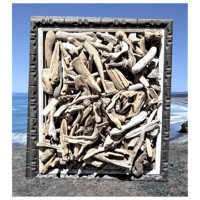 Image 2 of California Redwoods