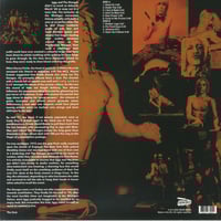 Image 2 of The Stooges "Keep Me Safe, Keep Me Sane: Rare Tracks 1972" LP (orange vinyl)