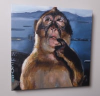 Monkey Canvas Print