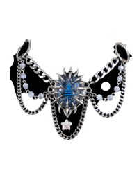 Image 1 of Eupholus schoenherri 