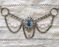 Image 2 of Eupholus schoenherri 