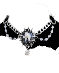 Image 1 of Hog Tooth