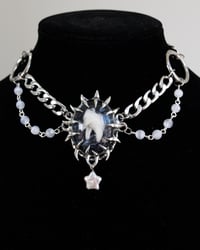 Image 3 of Hog Tooth