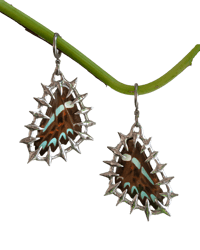 Image 1 of Butterfly Flails